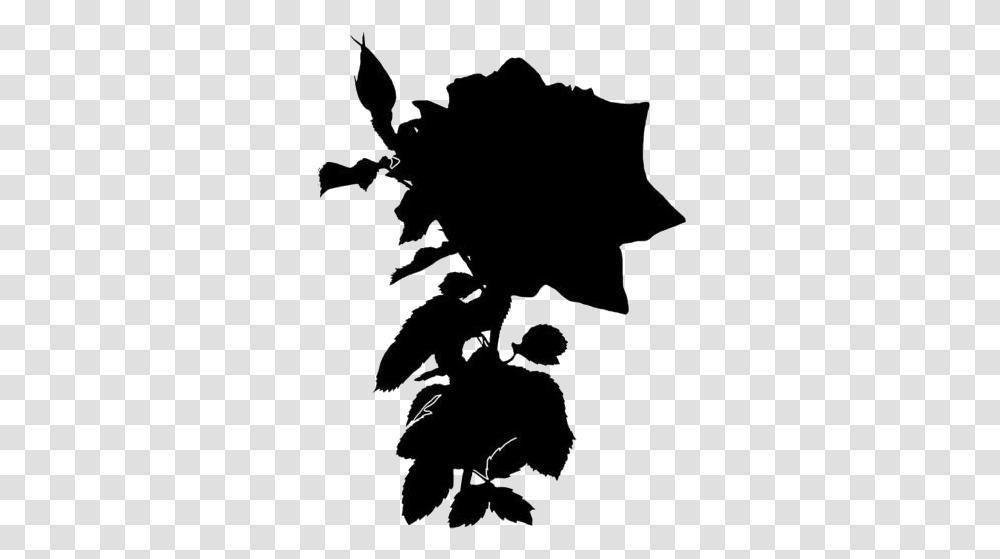 Rose Plant Hd Image Silhouette, Person, Tree Transparent Png