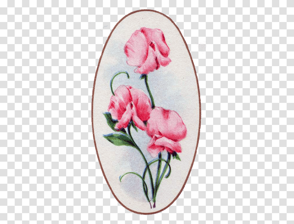Rose, Plant, Pattern, Flower, Blossom Transparent Png
