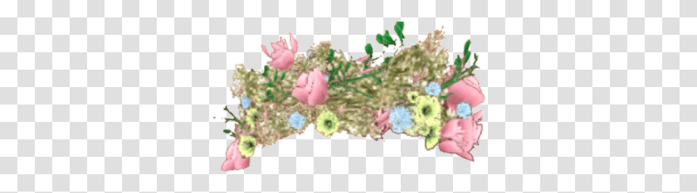 Rose, Plant, Plot, Flower, Diagram Transparent Png