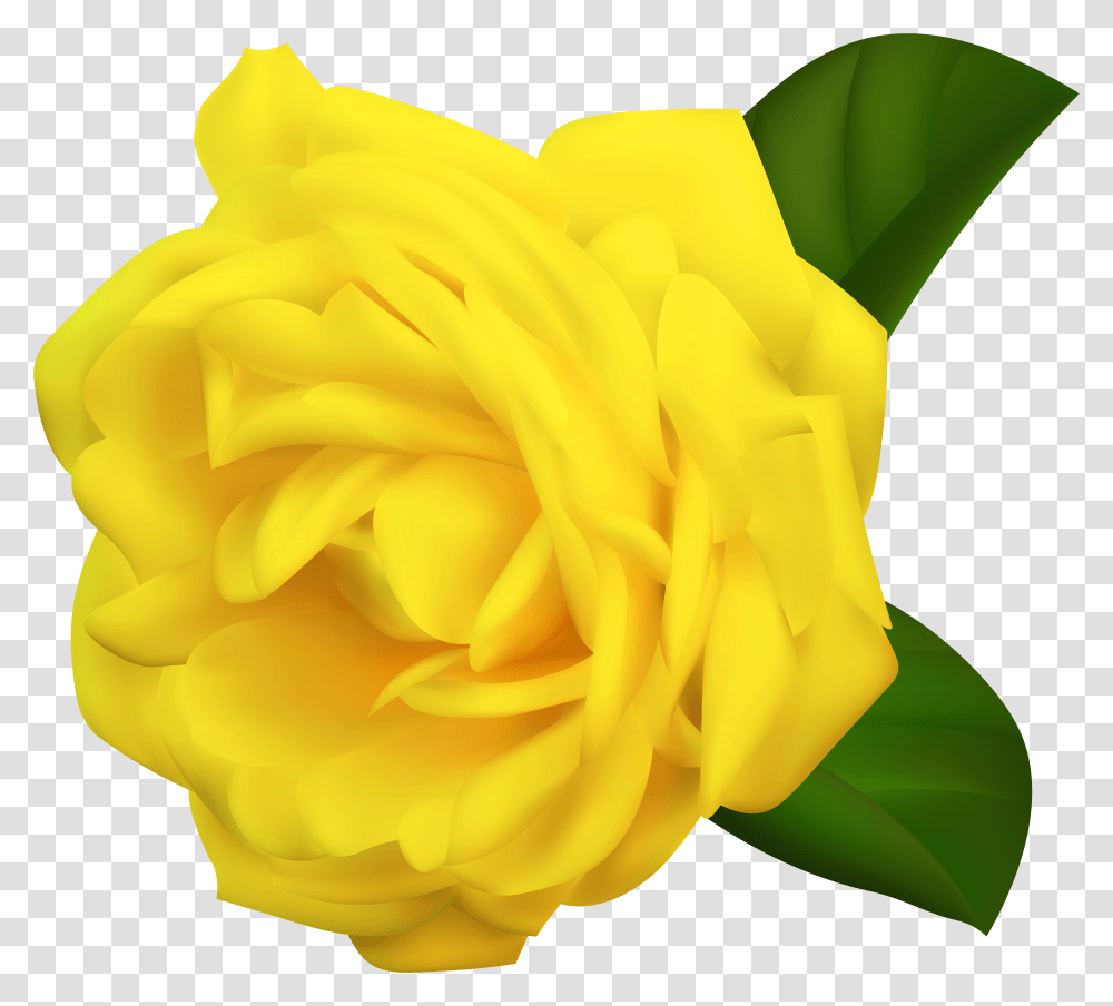 Rose Portable Network Graphics Transparent Png