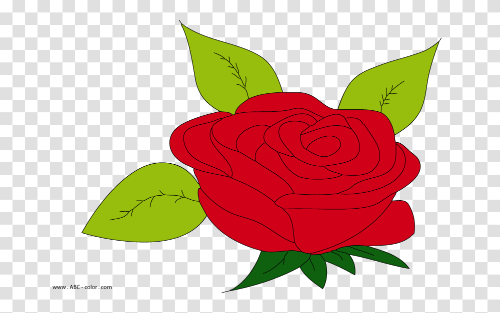 Rose Raster Painting, Plant, Flower, Blossom, Petal Transparent Png