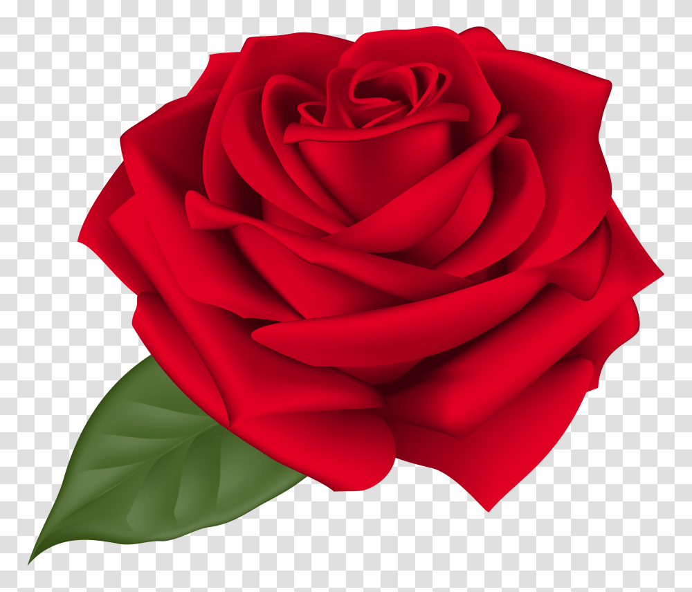 Rose Red Clip Art Transparent Png