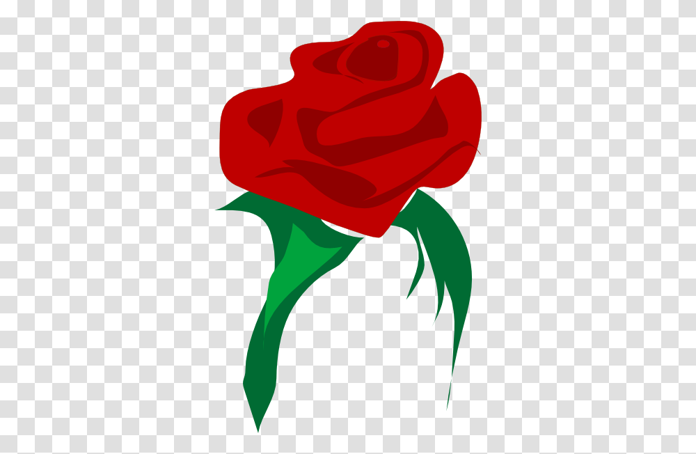 Rose Red Flower Clip Art For Web, Plant, Blossom, Carnation Transparent Png
