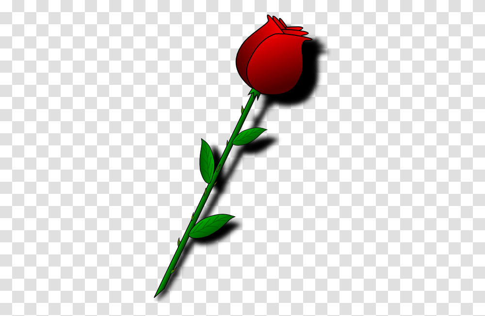 Rose Red Flower Clip Art, Plant, Blossom Transparent Png