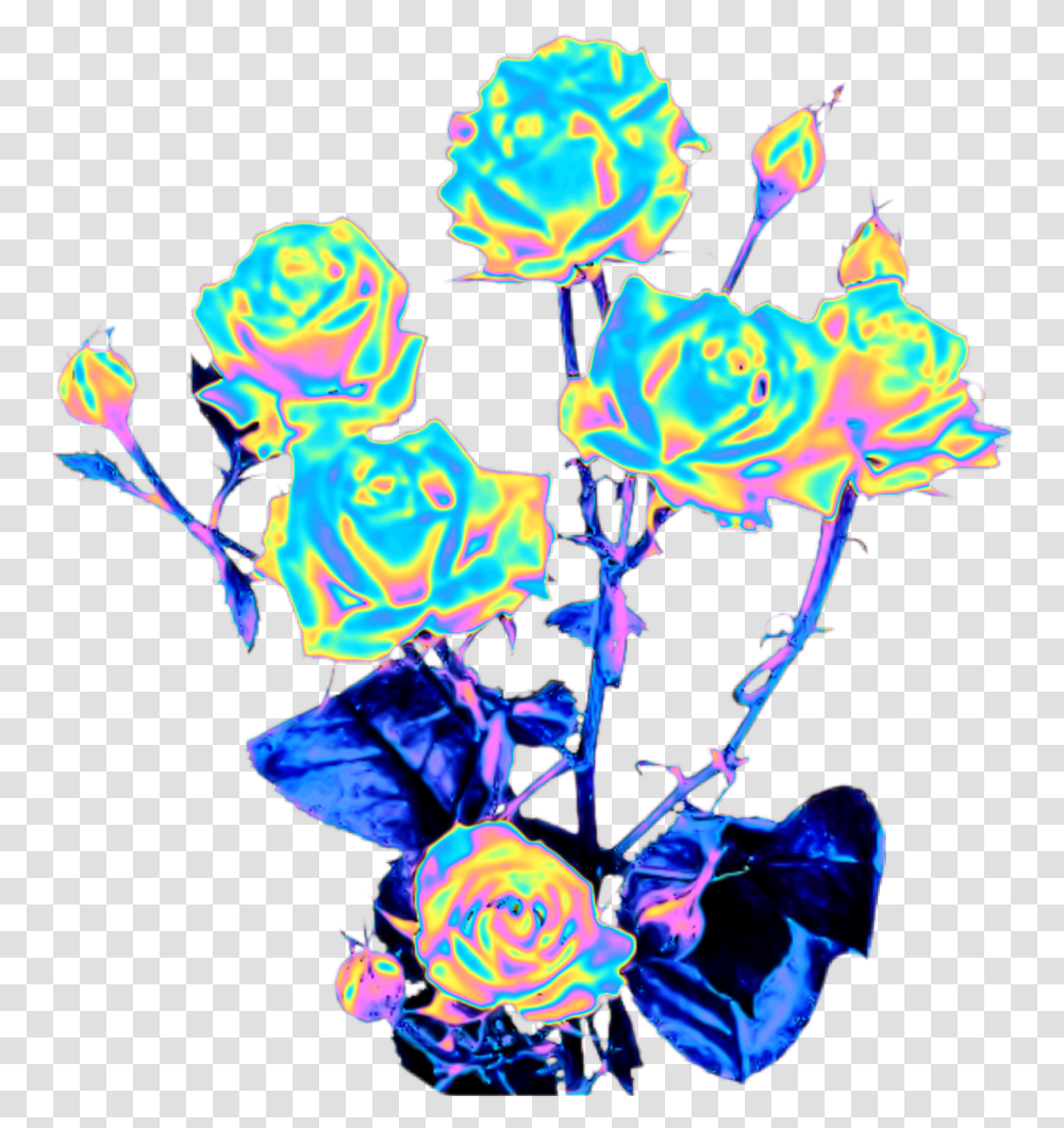 Rose Rosebush Flowers Roses Thorn Holo Holographic Holographic Flowers, Graphics, Art, Floral Design, Pattern Transparent Png