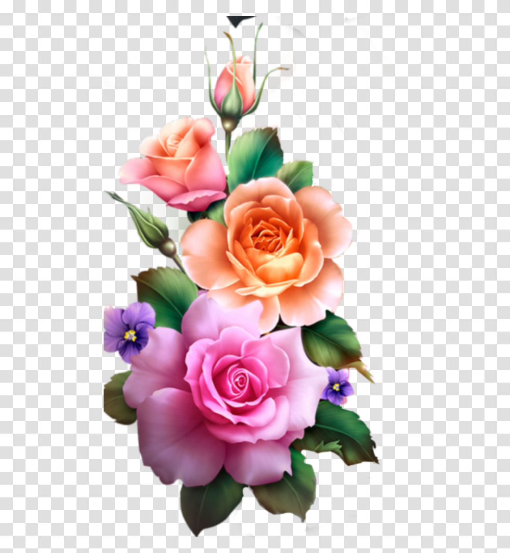 Rose Roses Flower Flowers Real Nature Edit Freetoedit Flower Hd, Plant, Blossom, Graphics, Art Transparent Png