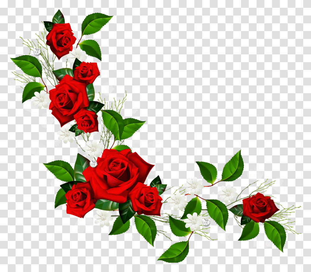 Rose Roses Red Flower Flowers Love Nature White Corner, Floral Design, Pattern Transparent Png