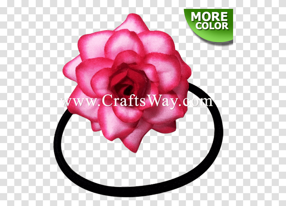 Rose Rubber Band Lei, Petal, Flower, Plant, Blossom Transparent Png