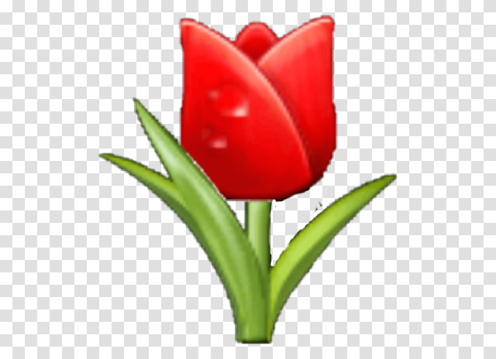 Rose Samsungemoji Flowers Flower Sticker Emoji Emoji, Plant, Petal, Blossom, Tulip Transparent Png