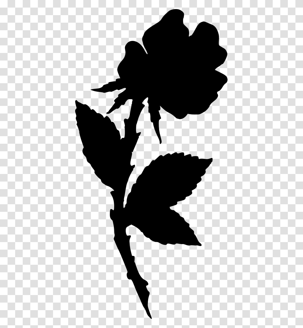 Rose Silhouette Illustration, Leaf, Plant, Bird, Animal Transparent Png