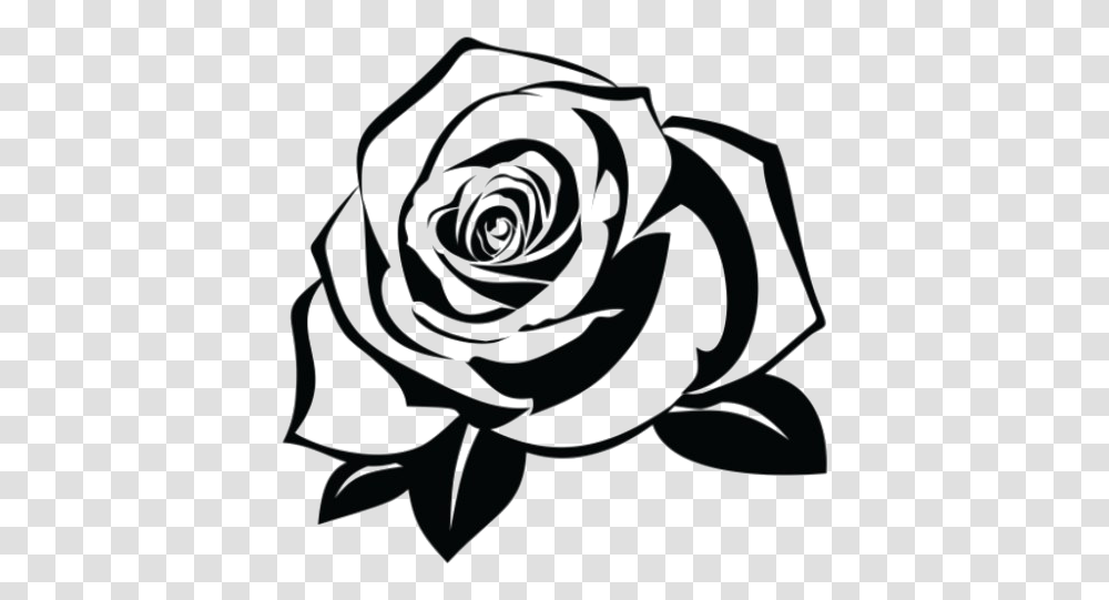Rose Tattoo Background, Spiral, Flower, Plant, Blossom Transparent Png