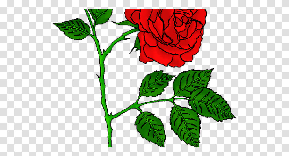 Rose Tattoo Clipart Picsart Red Rose Tattoo, Flower, Plant, Blossom, Leaf Transparent Png