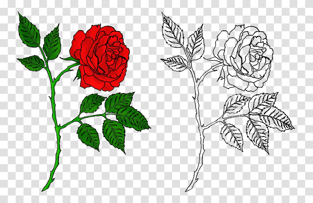 Rose Tattoo Free Rose Tattoo Designs Tattoo, Plant, Flower, Blossom, Cross Transparent Png