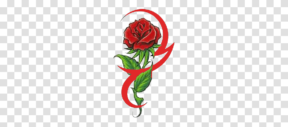 Rose Tattoo Images, Plant, Flower, Pattern Transparent Png