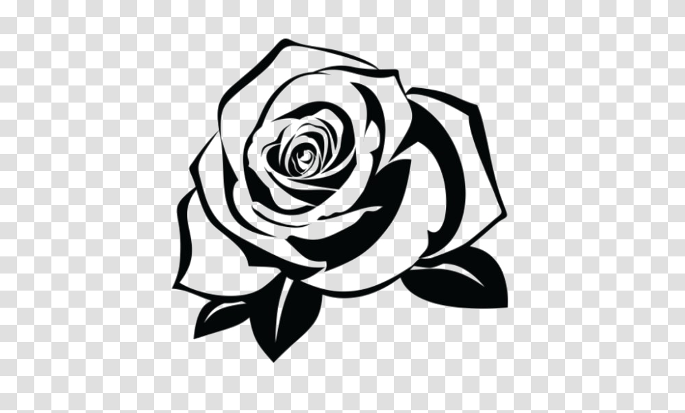 Rose Tattoo Pic Arts, Flower, Plant, Blossom Transparent Png