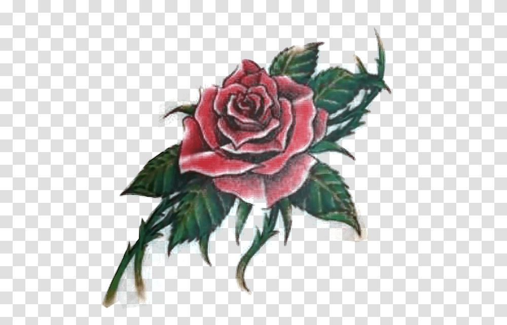 Rose Tattoo Red Flower Freetoe Rose And Thorn Tattoo, Plant, Blossom, Graphics, Art Transparent Png