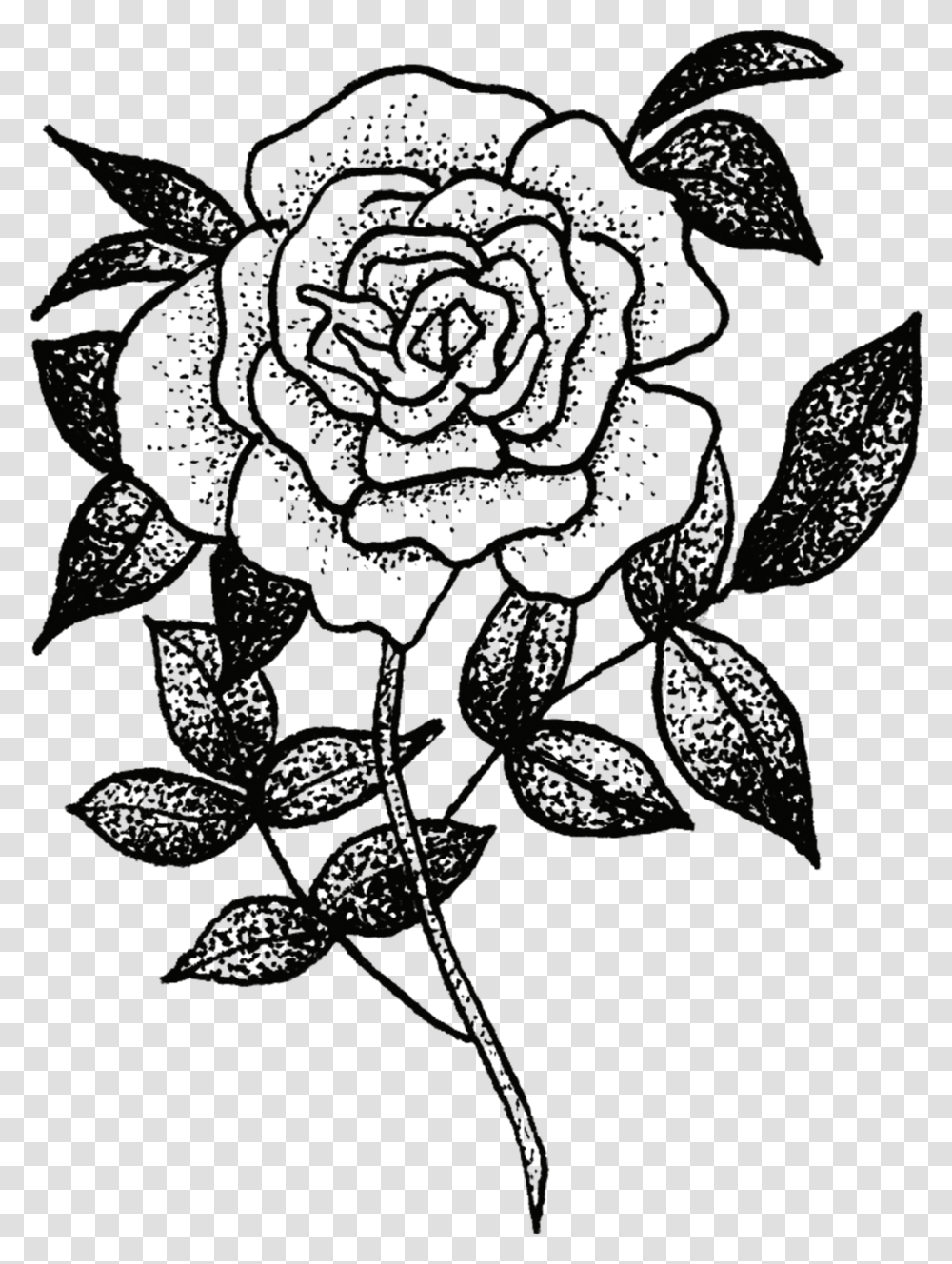 Rose Tattoos, Pattern, Floral Design Transparent Png