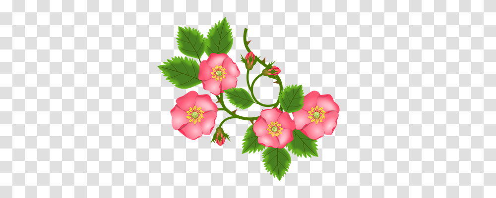Rose Tendril Nature, Floral Design Transparent Png