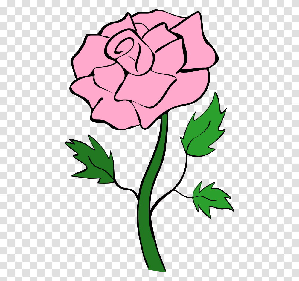 Rose Thorn 1 Image Cartoon Pink Flower, Plant, Blossom, Leaf, Carnation Transparent Png