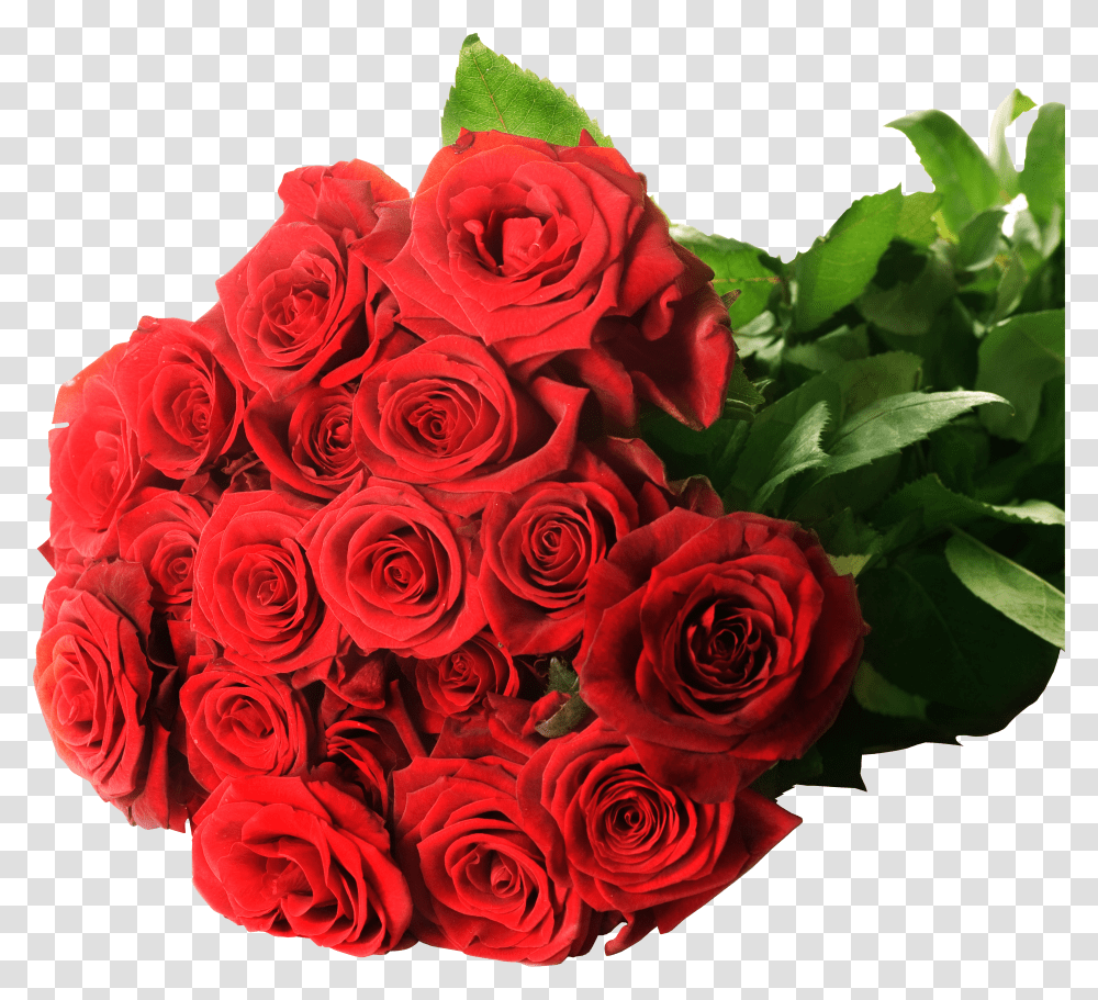 Rose Transparent Png