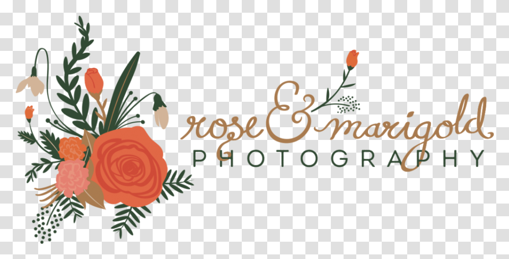 Rose & Marigold Photography, Text, Graphics, Art, Floral Design Transparent Png