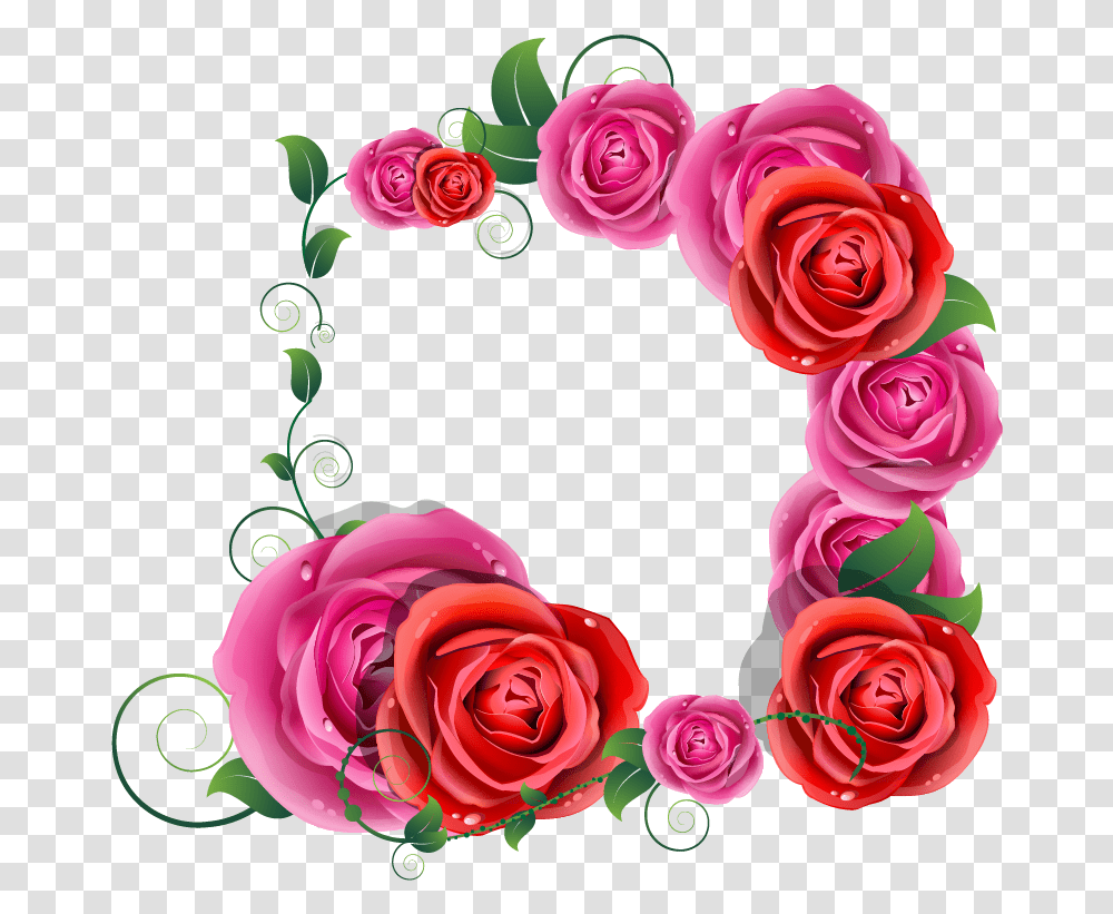 Rose Vector Good Morning Beautiful Flowers Download Good Morning Saurabh Ji, Plant, Blossom, Graphics, Art Transparent Png