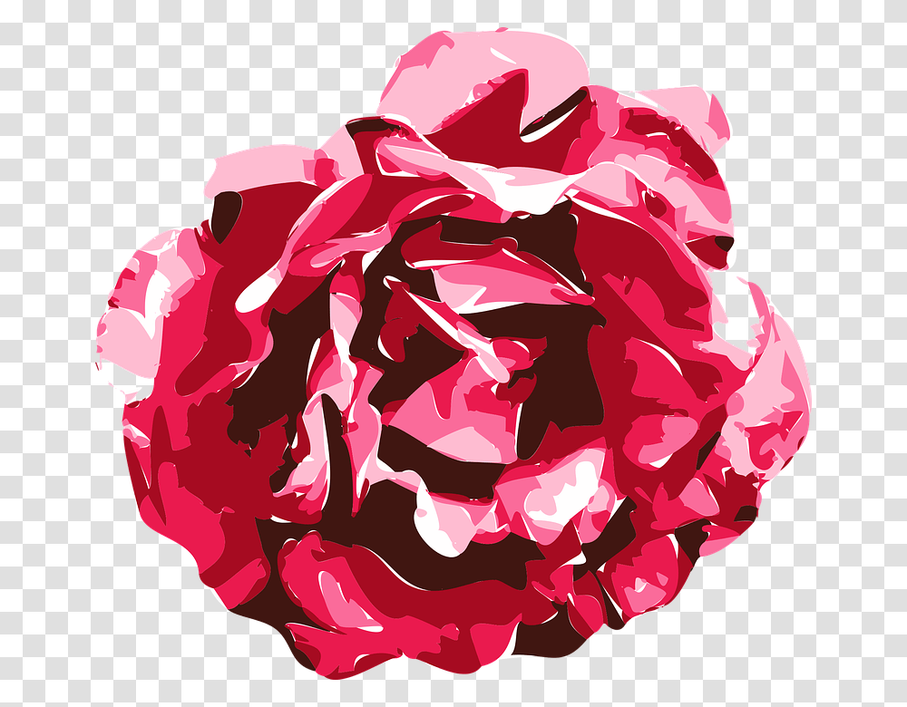 Rose Vector Graphics Drawing Model Texture Red Roses Graphics, Plant, Flower, Blossom, Carnation Transparent Png
