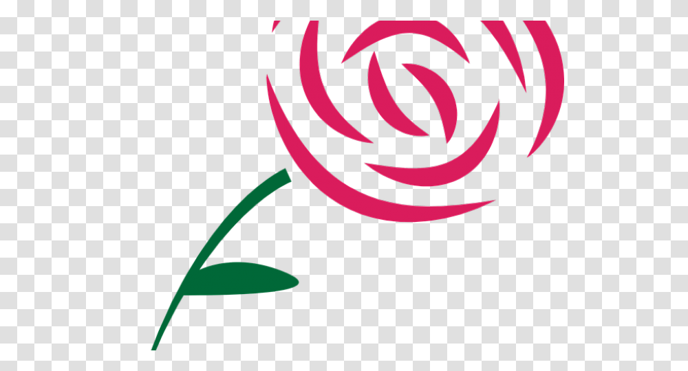 Rose Vector, Plant, Flower, Blossom, Pattern Transparent Png