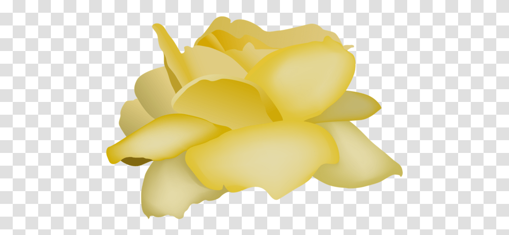 Rose Videoblocks Flower White Yellow For Valentines Day Artificial Flower, Plant, Blossom, Petal, Gold Transparent Png