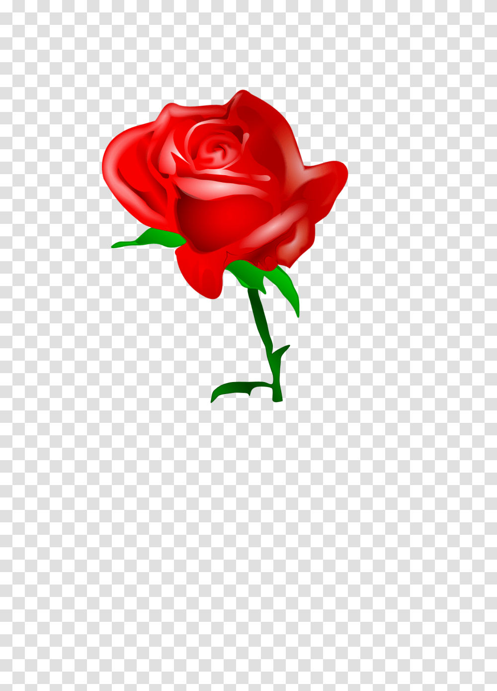 Rose Vine Border Clip Art Red, Flower, Plant, Blossom, Petal Transparent Png