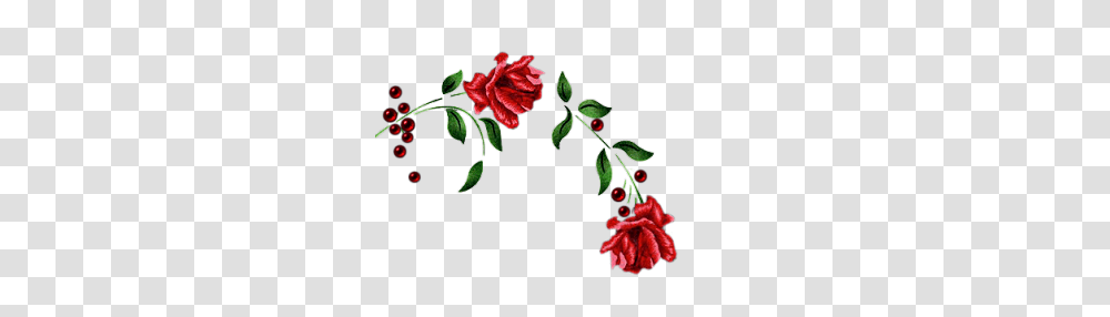 Rose Vine Clipart Free Clipart, Plant, Flower, Blossom, Petal Transparent Png