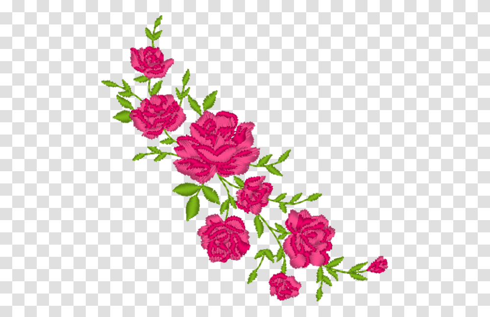 Rose Vine Garden Roses, Plant, Flower, Blossom, Carnation Transparent Png