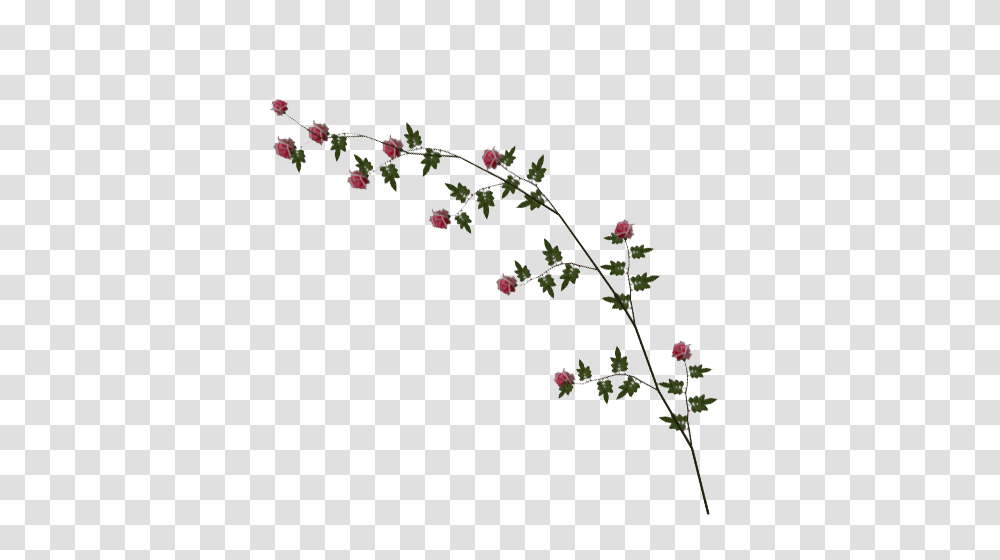 Rose Vine Image, Plant, Flower, Ikebana Transparent Png