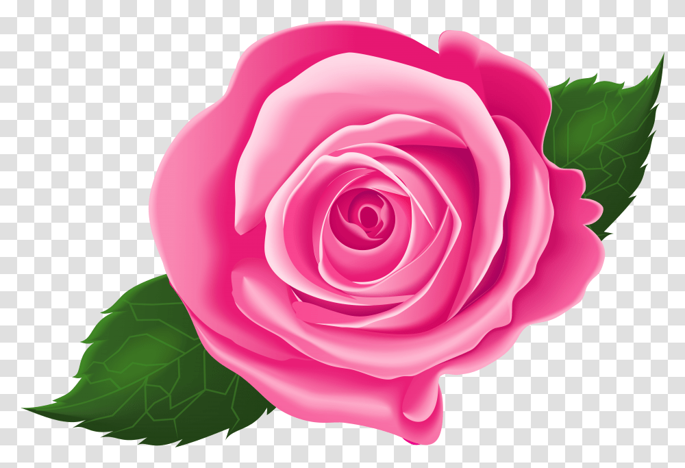 Rose Vines Background Rose Clipart Transparent Png