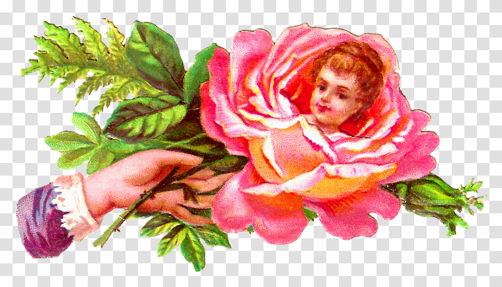 Rose With Face In Middle, Plant, Flower, Petal, Flower Bouquet Transparent Png