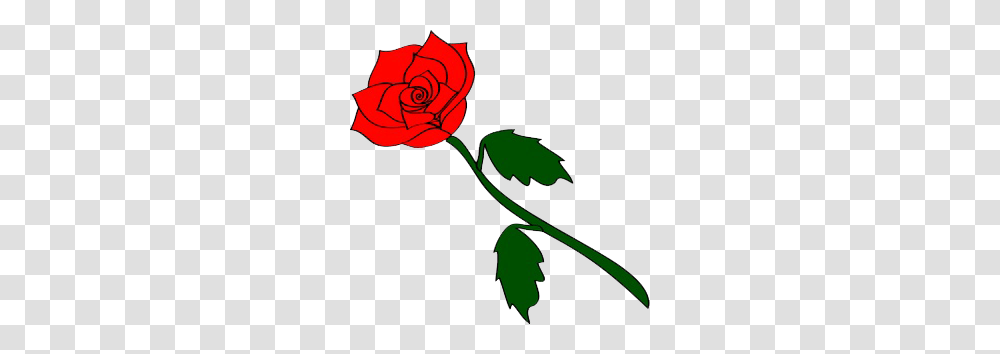 Rose With No Thorns, Plant, Flower, Blossom Transparent Png