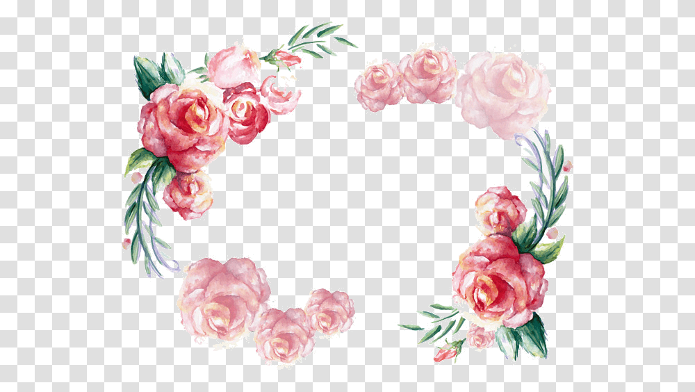 Rose X Watercolor Frame Clipart Vector Invitations Cards Pink Design, Plant, Flower, Blossom, Petal Transparent Png