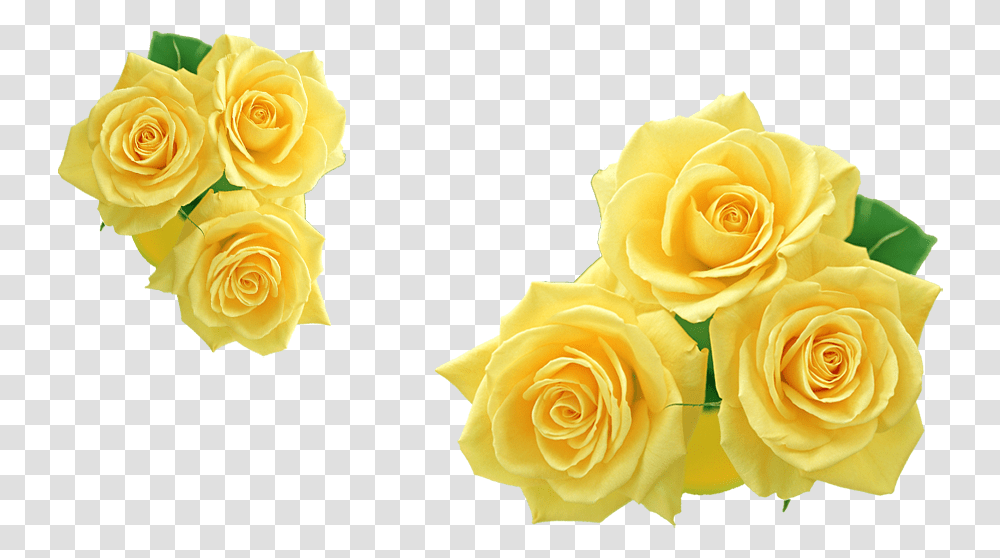 Rose Yellow Flower Clip Art Yellow Roses Clipart, Plant, Blossom, Petal, Flower Arrangement Transparent Png