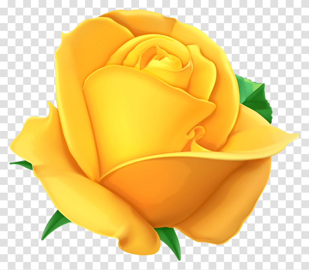 Rose Yellow Rose No Background, Flower, Plant, Blossom Transparent Png