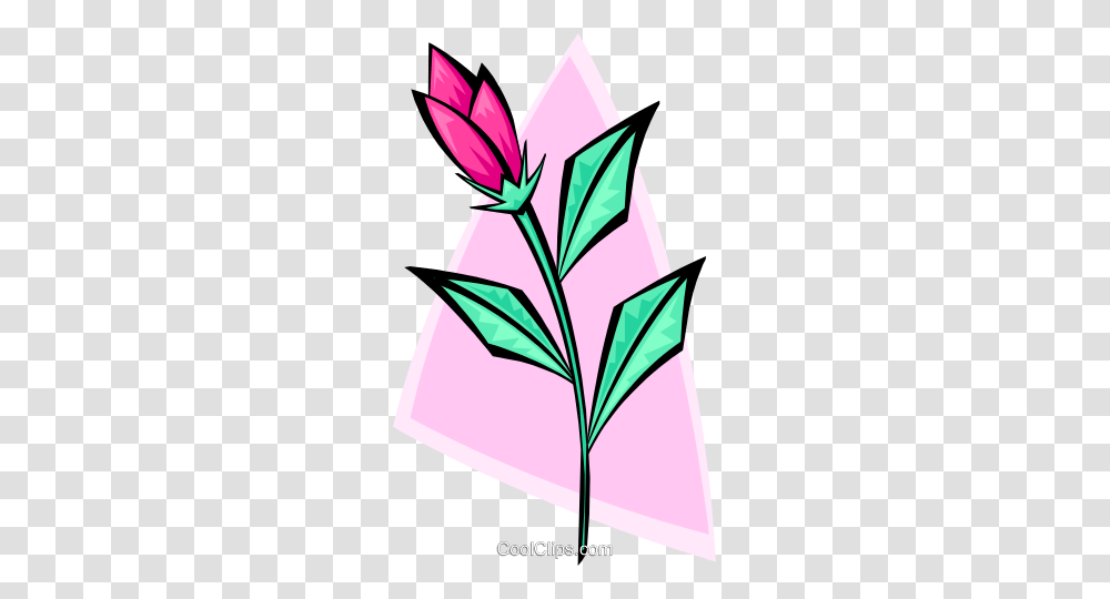 Rosebud, Plant, Flower, Blossom, Produce Transparent Png