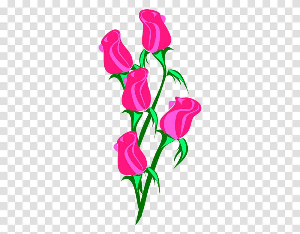 Rosebud Vine - Latest News St Rose Tiny Rose Clip Art, Plant, Flower, Blossom, Petal Transparent Png