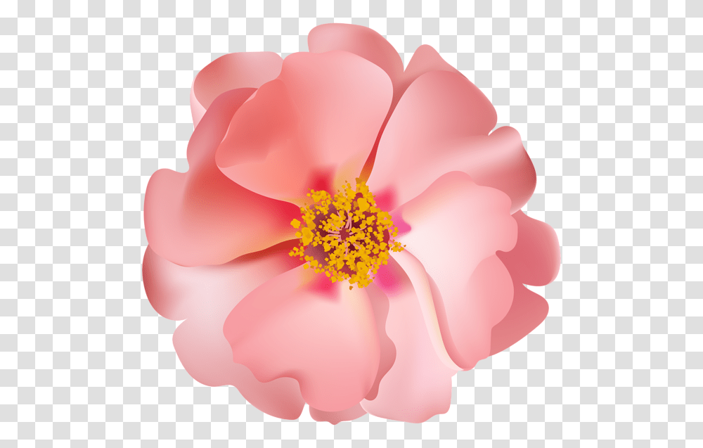 Rosebush Flower Clip Pink And Silver Flower Clip Art, Pollen, Plant, Blossom, Petal Transparent Png
