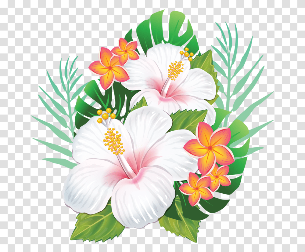Rosemallows Hawaiian Hibiscus Flower Hawaiian Flowers, Plant, Blossom, Graphics, Art Transparent Png