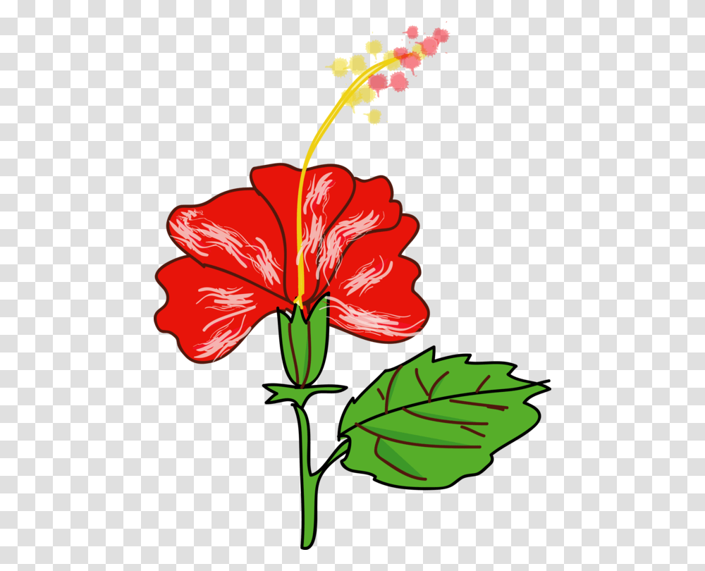 Rosemallows Shrub Hawaii Drawing Flower, Hibiscus, Plant, Blossom, Anther Transparent Png
