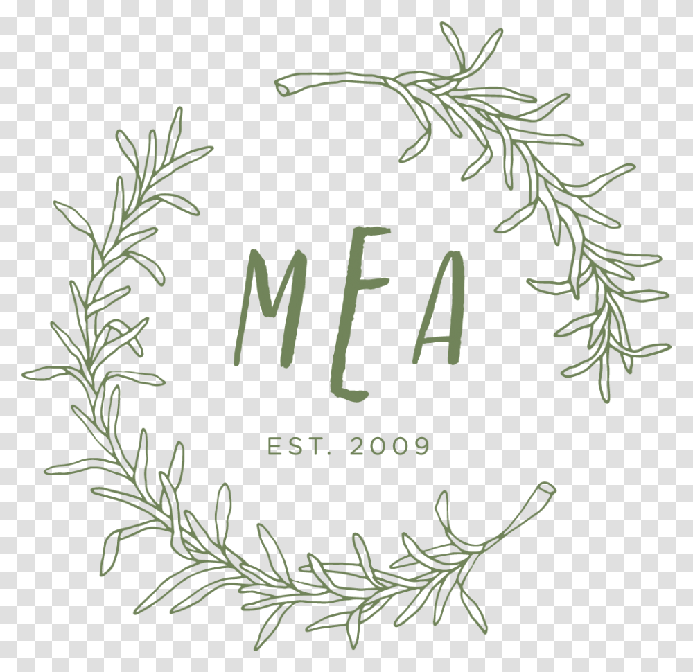 Rosemary Download, Plant, Tree, Conifer Transparent Png