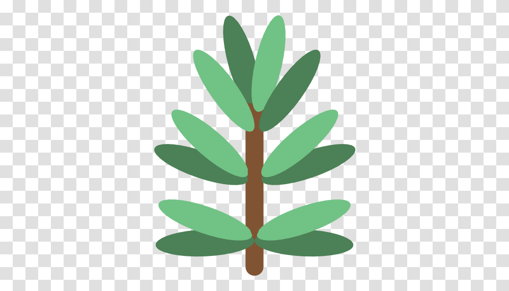 Rosemary, Green, Plant, Leaf, Herbal Transparent Png