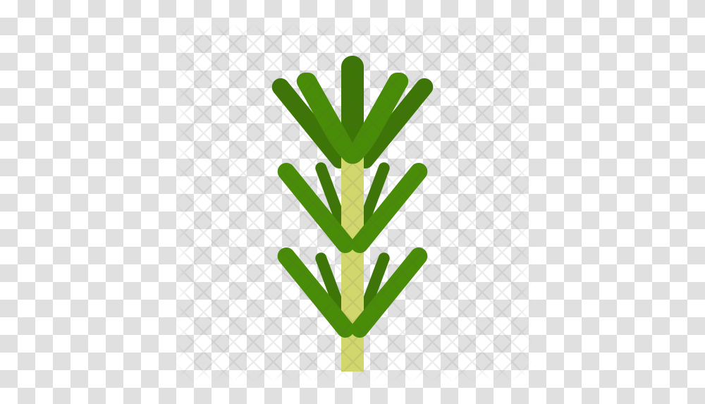 Rosemary Icon Vertical, Plant, Vegetable, Food, Produce Transparent Png