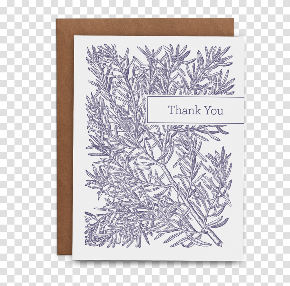 Rosemary Thank You Paper, Nature, Ice, Outdoors, Snow Transparent Png