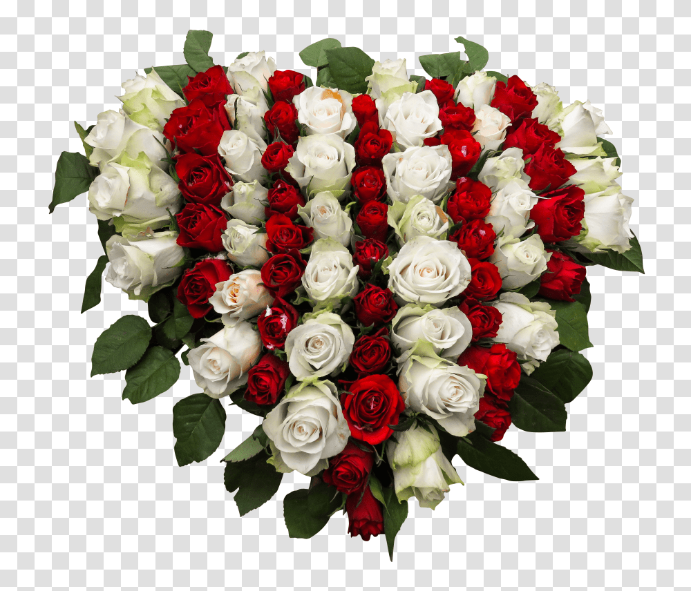 Roses Clip, Person Transparent Png