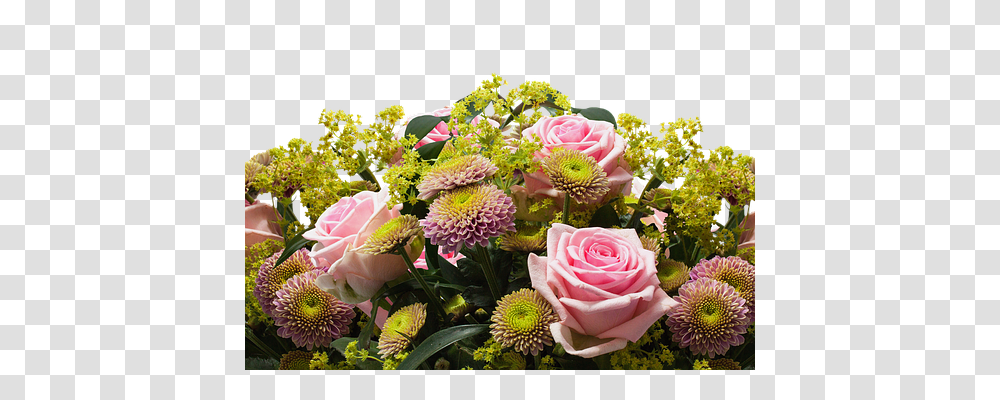 Roses Nature, Plant, Flower Bouquet, Flower Arrangement Transparent Png